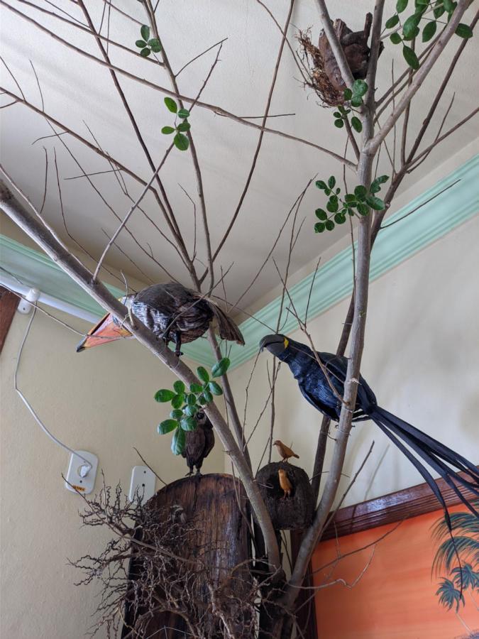 גוארפארי Hotel Pousada Guaypora מראה חיצוני תמונה